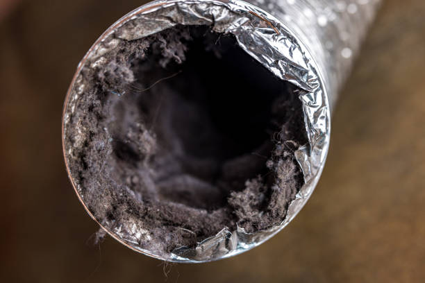 Best HVAC System Cleaning  in Canton, NC